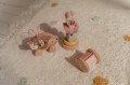 LD7356 - Gift box wood - Fairy Garden (1).jpg