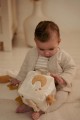 activity-cube-newborn-naturals-ld8409-6 - Small.jpg