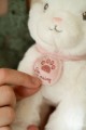 cat-in-bag-ld4517-7 - Medium.jpg