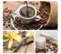 PERFECT-MATCH-60g-Dresdner-Essenz-3.png