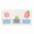 Pop Up Cactus.jpg