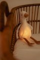 cuddle-goose-light-sound-ld8440-2 - Small.jpg