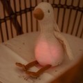 3cuddle-goose-light-sound-ld8440-5 - Small.jpg